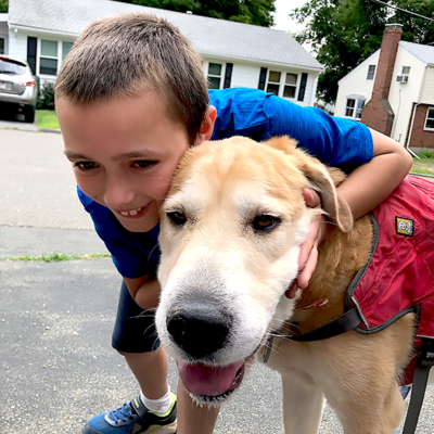 Training Therapy Dog